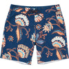 Navy Navy