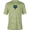 Cactus Green Cactus Green