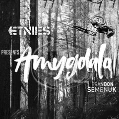 Etnies Action Sports Shoes Presents Amygdala Featuring Brandon Semenuk
