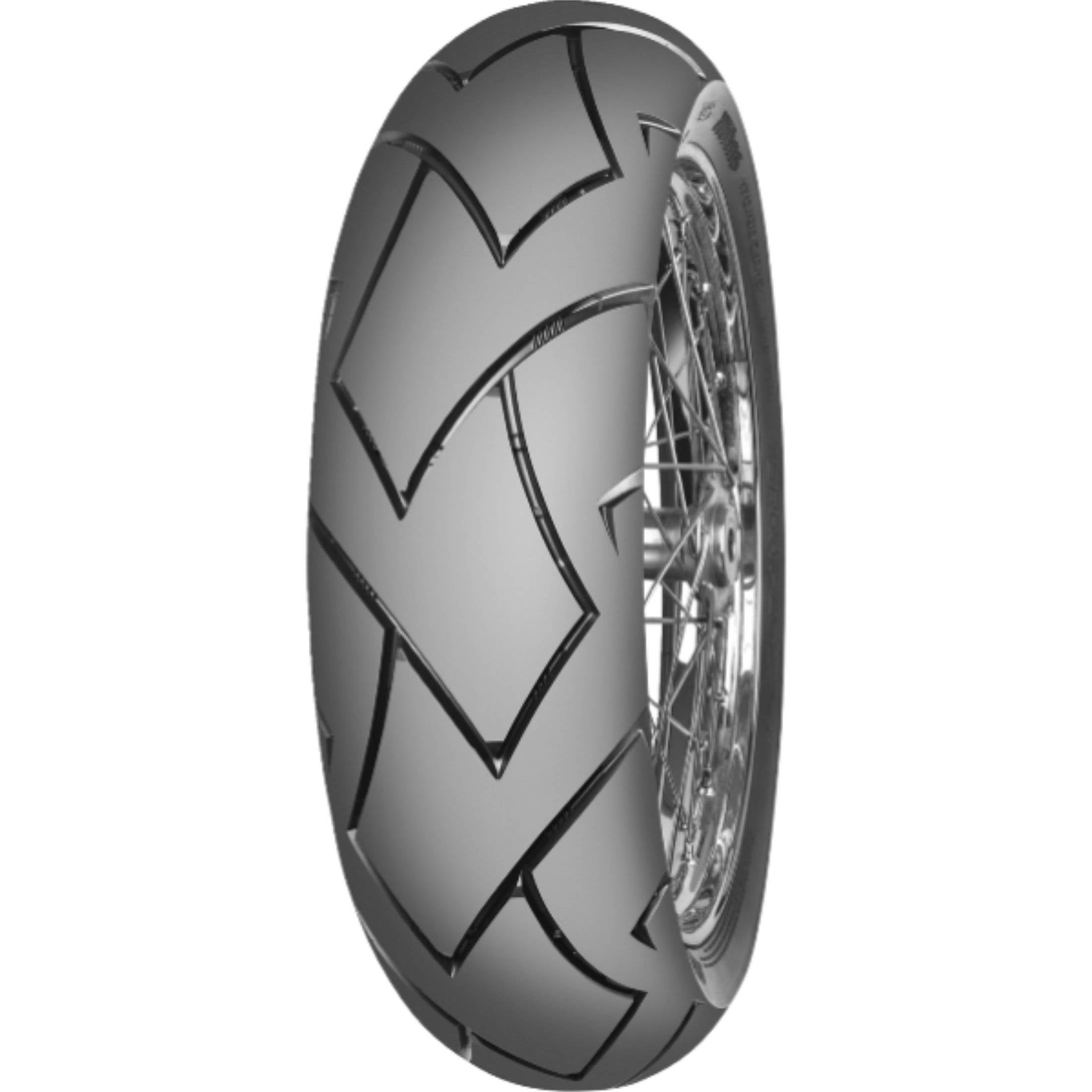 Mitas Terra Force-R 17" Rear Street Tires-0317