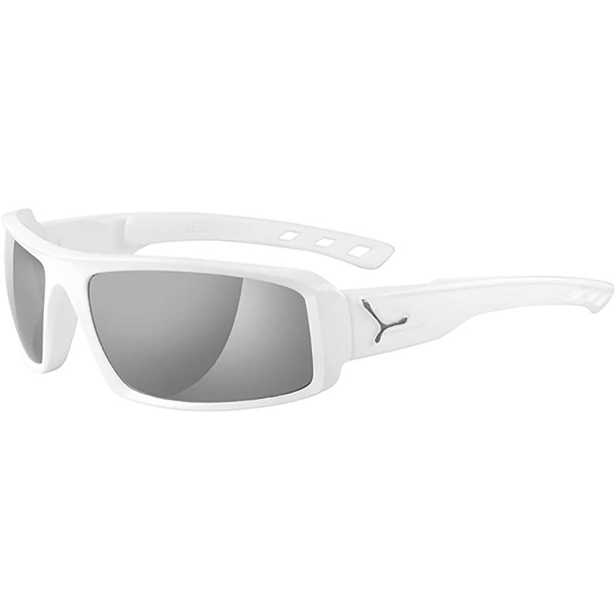 Cebe S'Sential Men's Lifestyle Sunglasses-CBSENT5