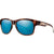Smith Optics Wayward 2014 Chromapop Adult Lifestyle Polarized Sunglasses (Brand New)