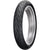 Dunlop Sportmax GPR-300 17" Front Street Tires