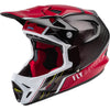 Fly Racing Werx-R Carbon Youth MTB Helmets