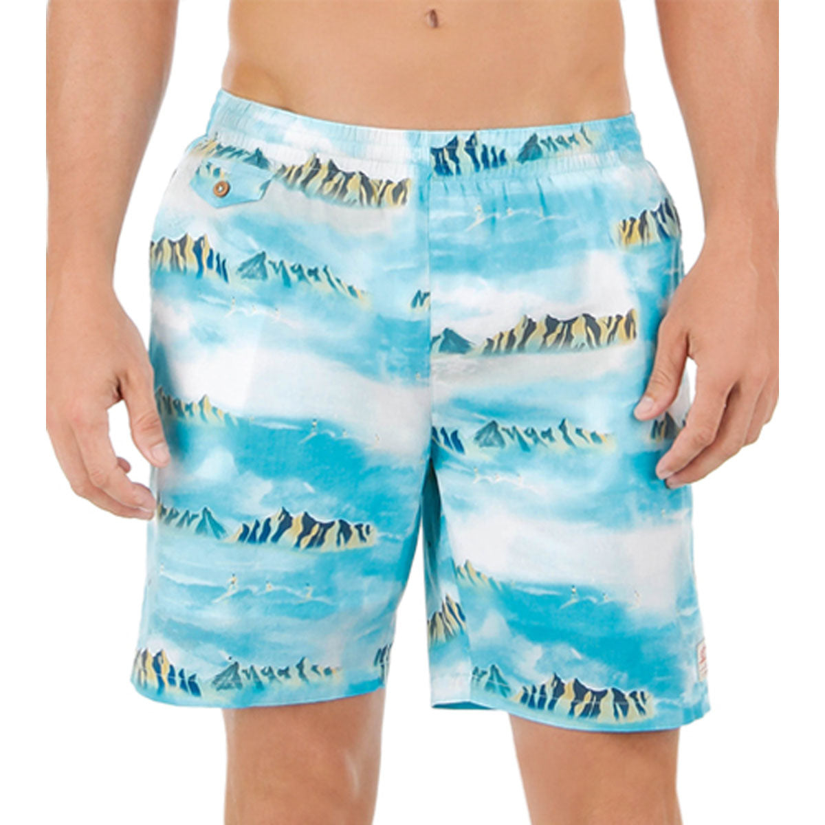 Lost Pool Party Men's Boardshort Shorts Brand New-LB133731