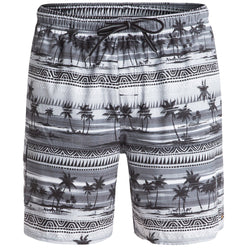 Quiksilver Waterman Chillers Men's Boardshort Shorts (Brand New)
